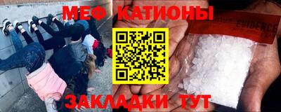 прущие грибы Сланцы