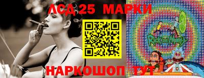 прущие грибы Сланцы