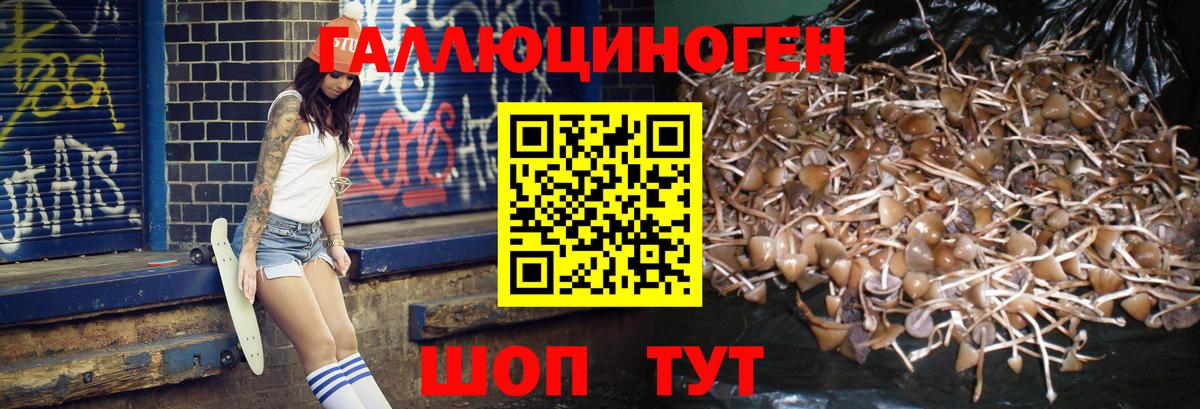 Галлюциногенные грибы Psilocybe  Псилоцибиновые грибы Psilocybine cubensis  Саров  Вход с VPN 
