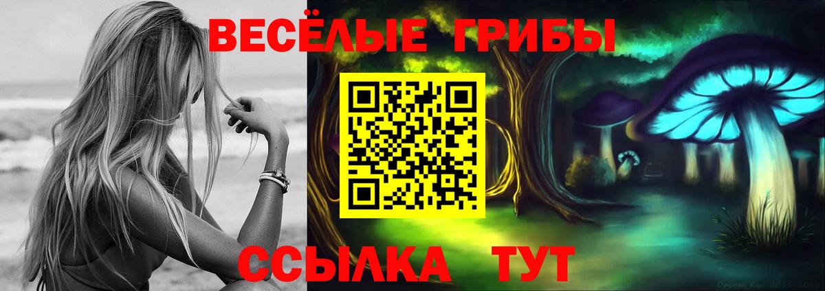 Галлюциногенные грибы мицелий Саров